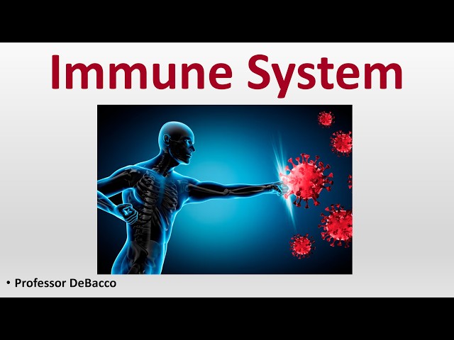 Immune System