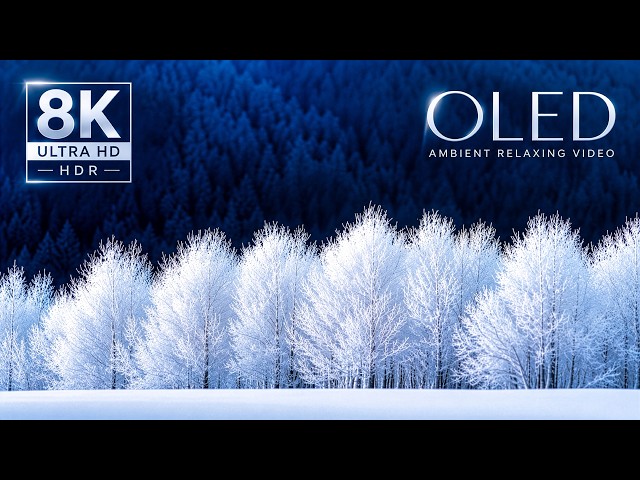 16K HDR 120fps OLED Showcase — Unmatched Color & Detail (8K HDR 60fps)