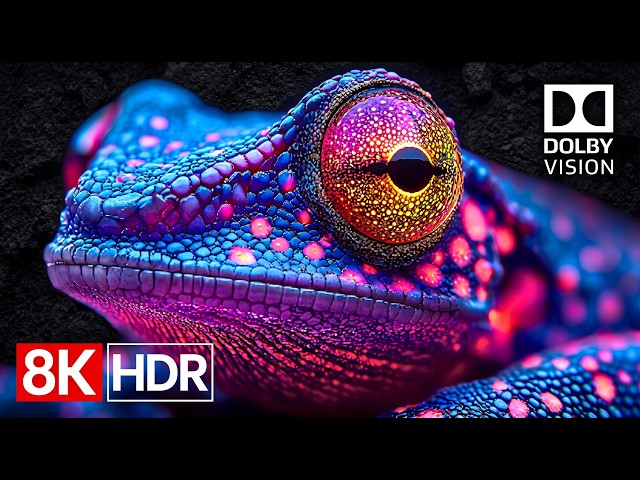 HDR Ultra at Full Power | 8K Dolby Vision 60fps (4K/8K OLED TV Demo)