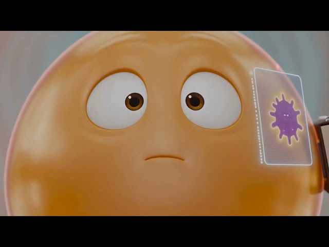 How Vaccines Train the Immune System?