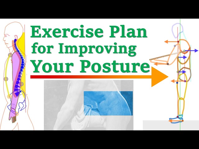 The Basic Exercise Plan for Improving Your Posture