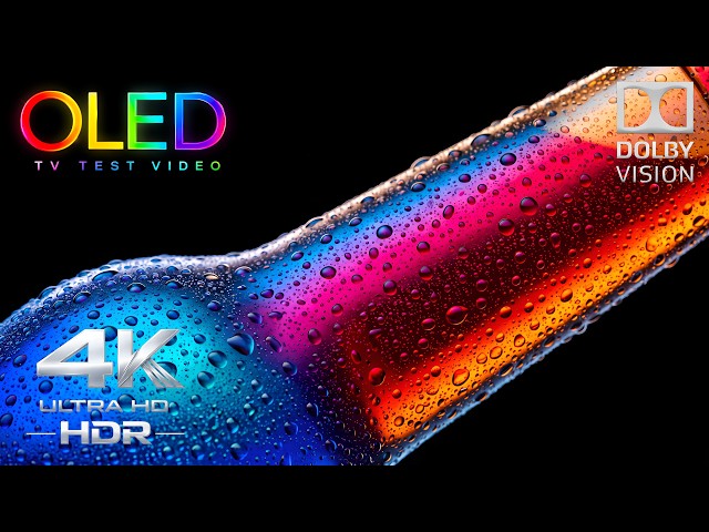 This 4K OLED Demo Will Make You Question Reality | 4K HDR 240FPS Dolby Vision TV Test