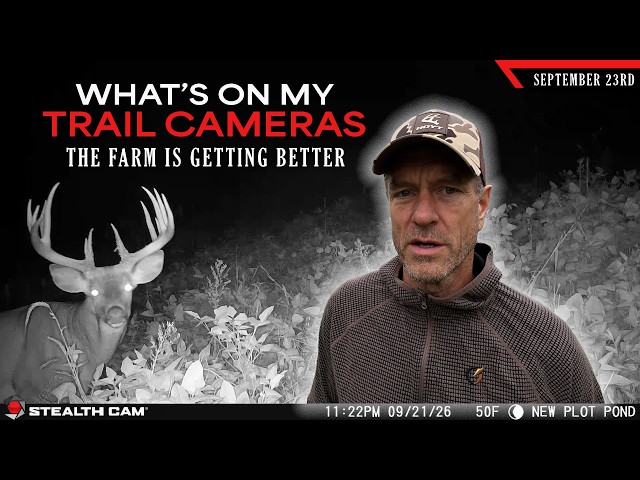 What's on My Trail Cameras - The Farm is Getting Better | Bowhunting Whitetails w/ Bill Winke