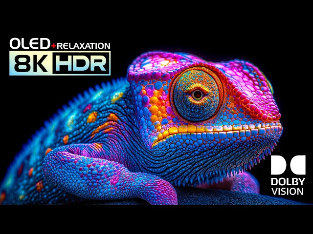 Only Best 8K HDR Video | OLED Display Test | Dolby Vision 120 FPS | 4K/8K Video ULTRA HD