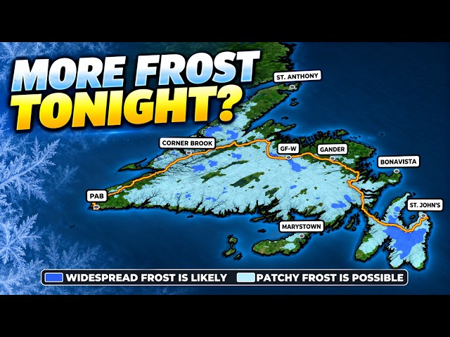 Frost Is In Tonight’s Forecast, and Rain Showers Are In Tuesday’s