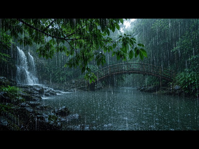 Relaxing Rain on a Forest Lake 🌧️ Clear Your Mind, Meditate and Sleep Deeply