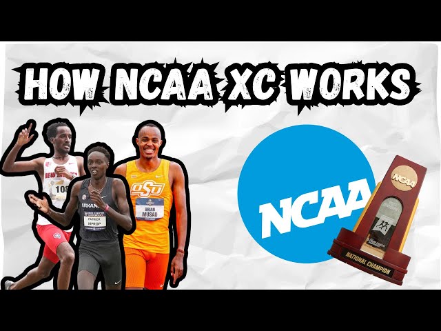 How to ACTUALLY Understand NCAA XC