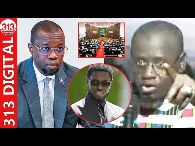 MP Samba Dang doesn't miss Diomaye's opportunity regarding the LFR and announces good news for Sonko