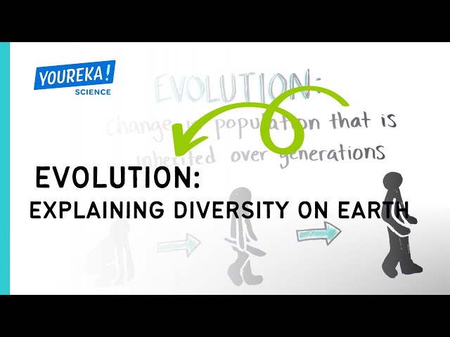Evolution: Explaining the diversity of life on earth