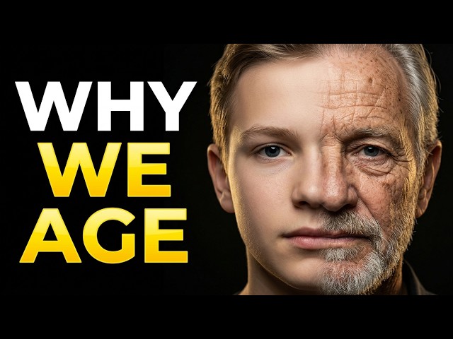 The Hidden Science of Longevity | Why We Age and How Our Bodies Fight Time | Relaxing Science Story