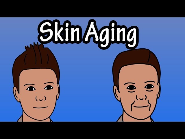 How Does The Skin Age - Skin Aging Process - Why Do We Get Wrinkles
