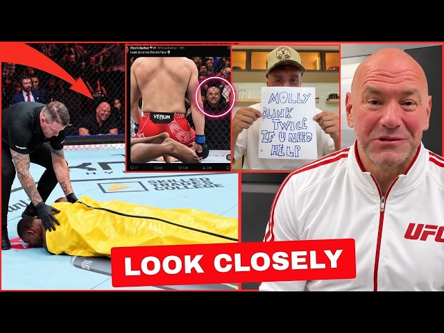 Fans Can’t STOP Rewatching Dana White’s Reaction To Buckley’s KO! MMA World MOCKS Buckley! Jake Paul