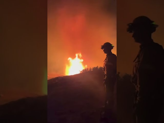 Big Sur Fires Explode Across California Coast | 52,000+ Acres Burning