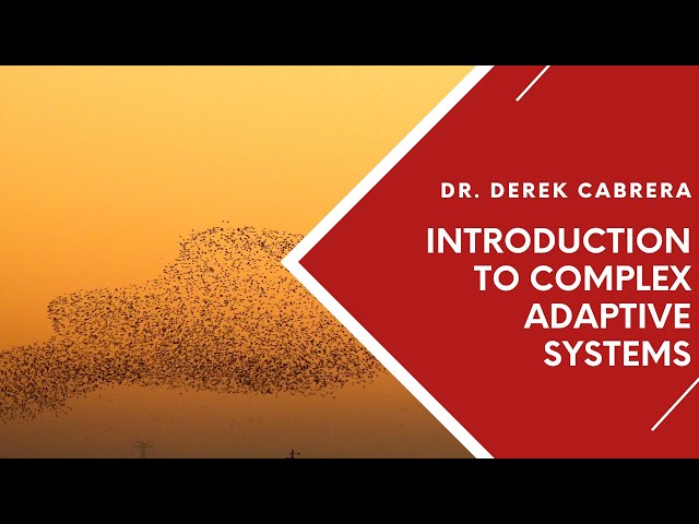 Dr. Derek Cabrera provides an introduction to complex adaptive systems (CAS) | Understanding CAS