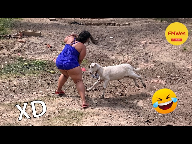 Funny Videos 🤣 If You Laugh You Lose GOD LEVEL #857 😎 Mexican Viral Humor 🤣