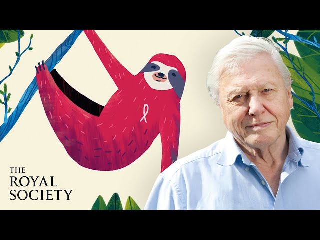 Why is biodiversity important - with Sir David Attenborough | The Royal Society