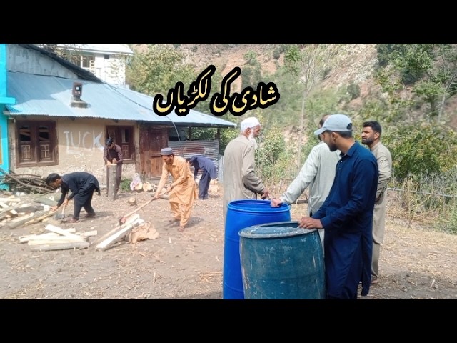 They are sawing wood - لکڑیاں چیر رہے ہیں