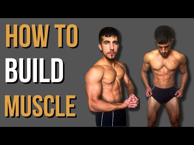 Muscle Building BASICS | The Fundamentals For Muscle Growth Everyone Needs To Know