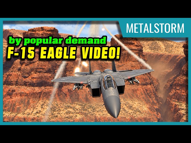 Metalstorm F-15 flight & the "Super" Aim-7 Sparrow & Flight pass FOMO tip
