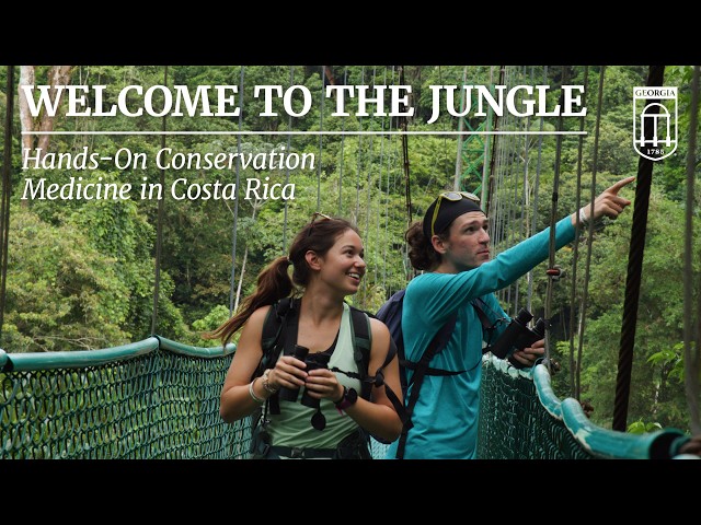 Welcome to the Jungle: UGA Students Explore Costa Rica