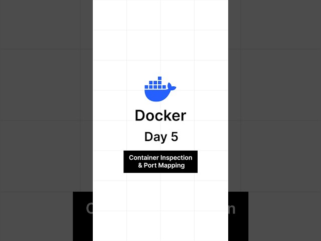 Docker Day 5 — Part 3 #docker #dockertutorials #dockercontainer #container