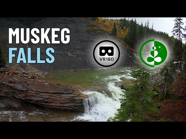 Muskeg Falls | Waterfall in the Alberta Rockies | VR180