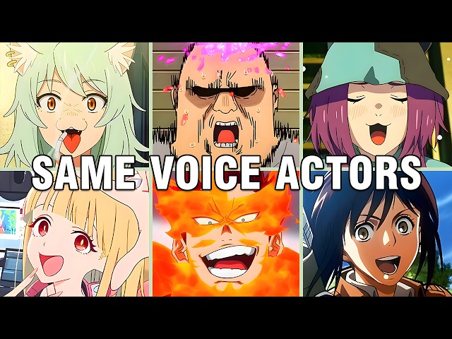 Chainsmoker Cat Characters Japanese Dub Voice Actors Seiyuu Same Anime Characters