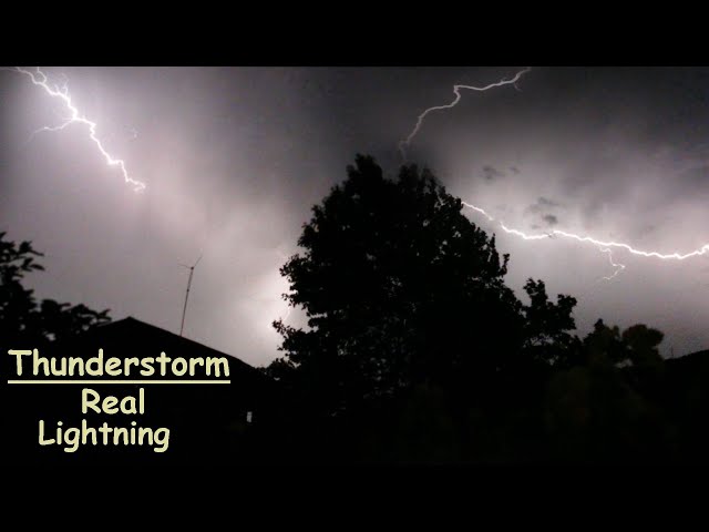 Real Thunderstorm Sounds Atmosphere for Sleeping & Relaxing | Real Lightnings behind the tree