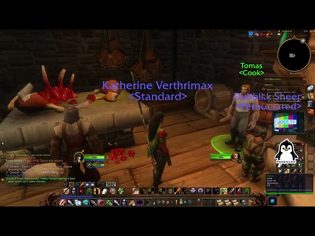 Linux Gaming - WoW Forever Beta Gameplay RTX 5060 Ti Performance Test [No Commentary Gameplay]