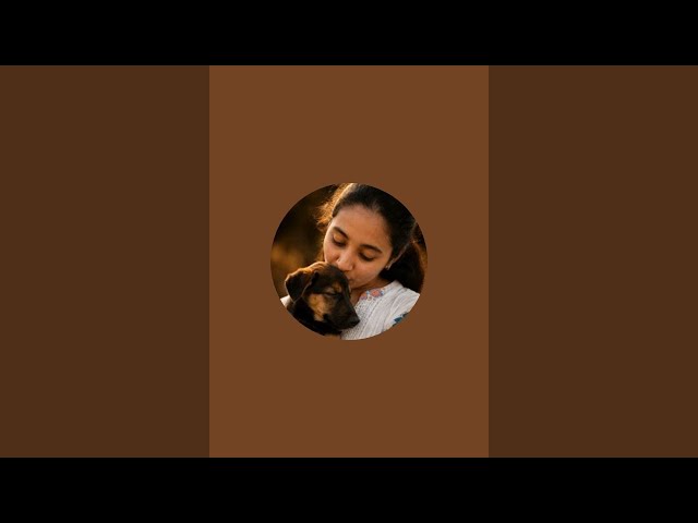 Daily Yoga LIVE | Full Body Stretch