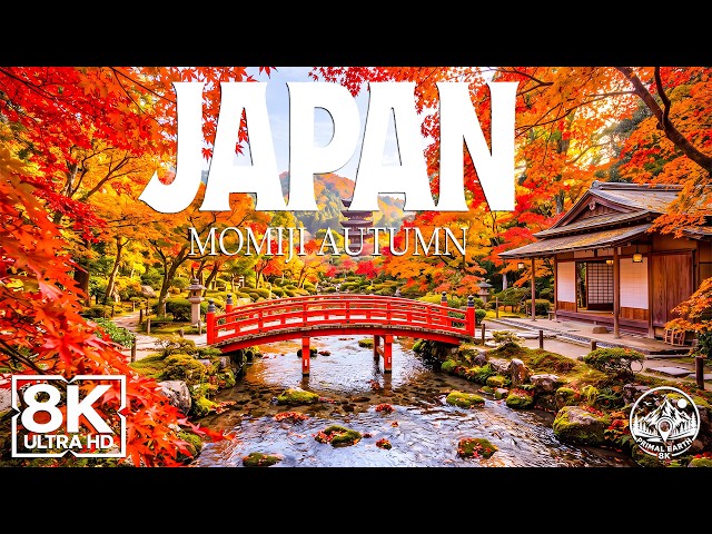 Japan Momiji Autumn 8K HDR🍁Stunning Red Maple Leaves & Japan’s Beautiful Hidden Gems