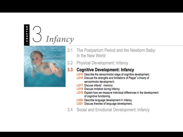 1100 03.3 - Infant Cognitive Development