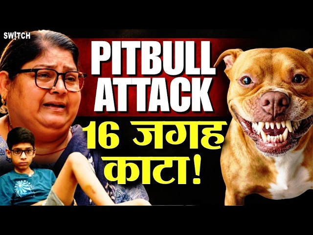 Faridabad Pitbull Attack: Class 7 Student Recalls Horror!