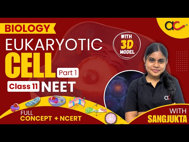 📌Eukaryotic Cell in One Shot🔥| Class 11 Biology/NEET | NCERT | Full Concept with 3D Models & Tricks!
