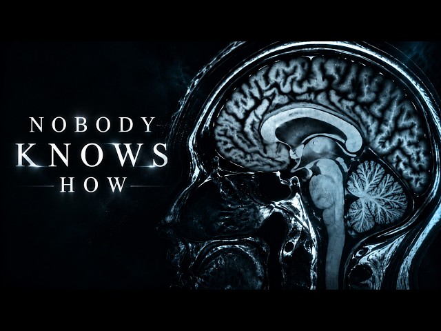What If Your BRAIN Does Not Create CONSCIOUSNESS?