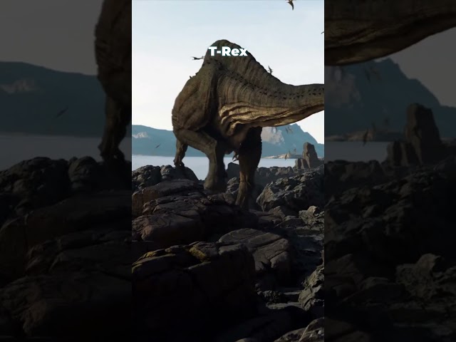 The T-Rex Time Paradox ⏳🦖