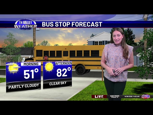Live Weather Update