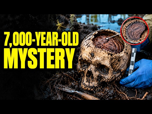Florida Workers Uncovered 7,000 Year Old Brains That Shouldn't Exist