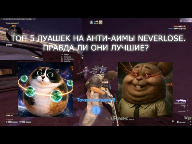 ТОП 5 ЛУАШЕК НА АНТИ-АИМЫ NEVERLOSE. ПРАВДА ЛИ ОНИ ЛУЧШИЕ?