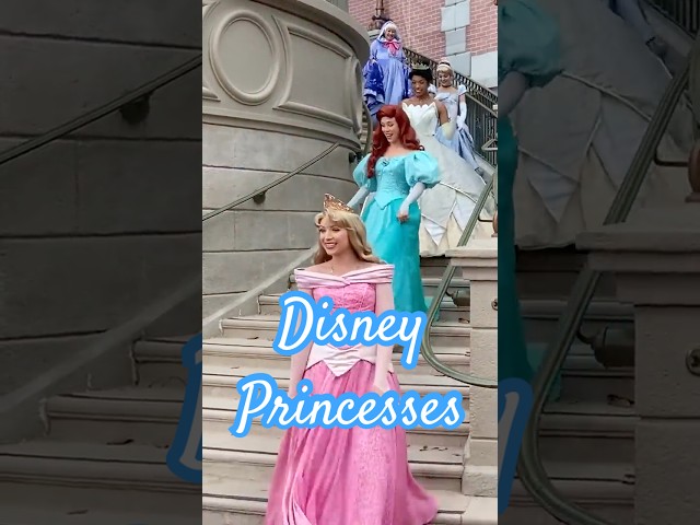 Disney Princesses Surprise | A Magic Kingdom Magical Moment!