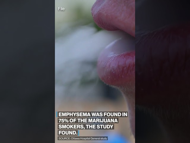 Smoking #marijuana may be more harmful to lungs than smoking #cigarettes, study finds. #health