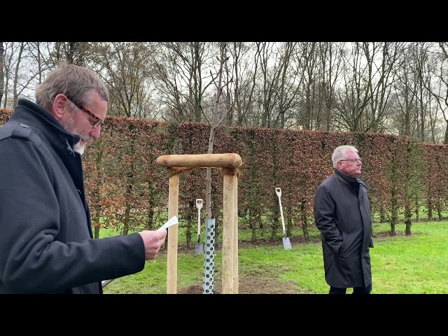 Ein Baum als Symbol für Frieden und Freiheit