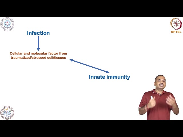 Inflammation & Signature of Inflammation #swayamprabha #CH31SP