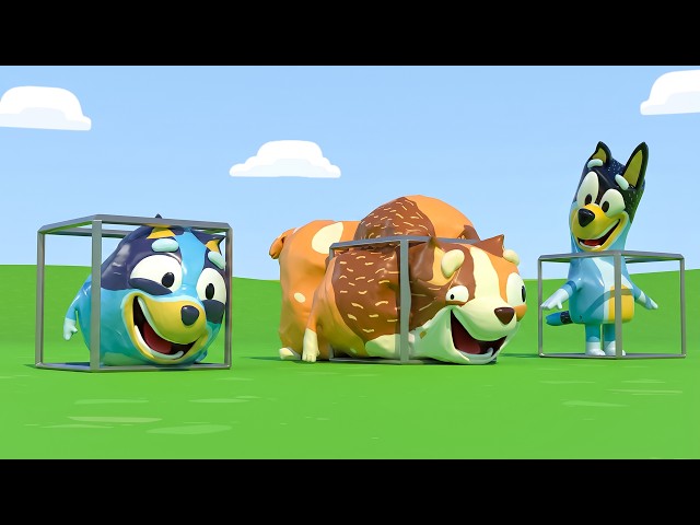 Bluey Parodies - Fun Experiments! 🐶😄