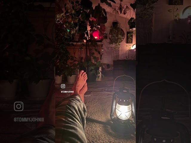 Light Affects Sleep-Sleep Affects Light