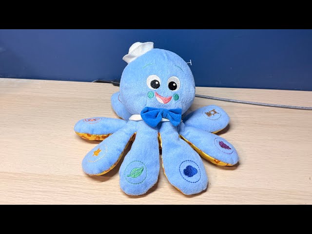 Baby Einstein Octopus