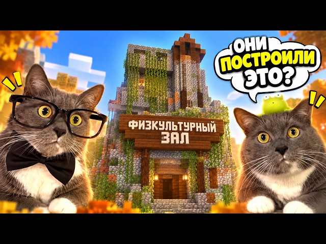 SUBSCRIBERS UPGRADED THE KITTEN SCHOOL