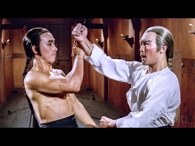 The Perfect Kung Fu punch | Warriors Two | CLIP