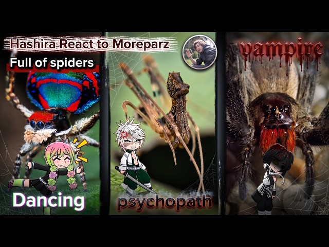 Hashira React to Moreparz's Spider Video FULLPART