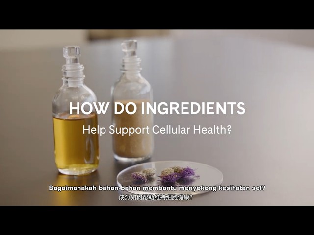 ARTISTRY | How Do Ingredients Help Support Cellular Health?